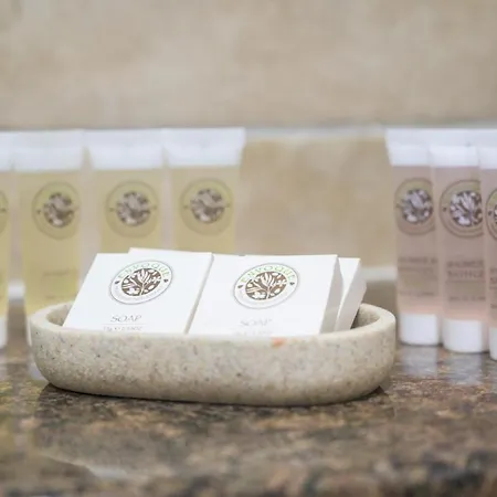 Apartament V2 Park Row