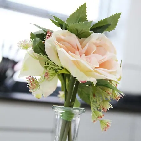 V2 Park Row Apartament